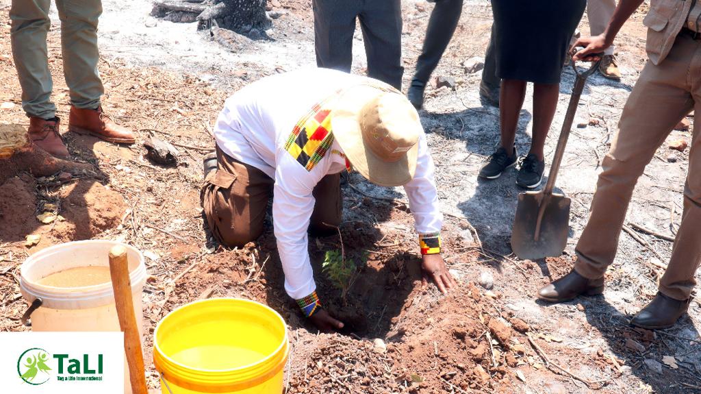 Tree Planting Day Commemorations