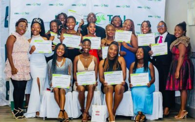 The Leadership, Economic and Mentorship Hubs Programme