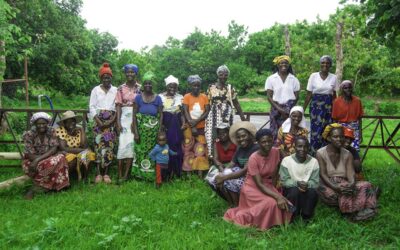 From Firewood to Restoration: How 39 Women in Hurungwe Are Rebuilding Land, Livelihoods, and Leadership