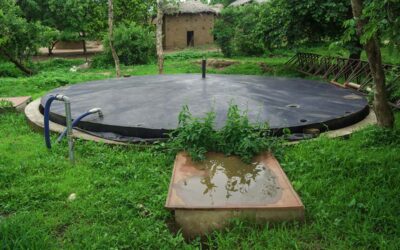 The Biogas Dream and the Reality