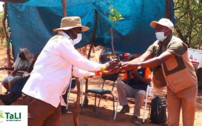 Leadership as the Strongest Restoration Tool