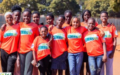 A Call to Shape Zimbabwe’s Constitutional Future